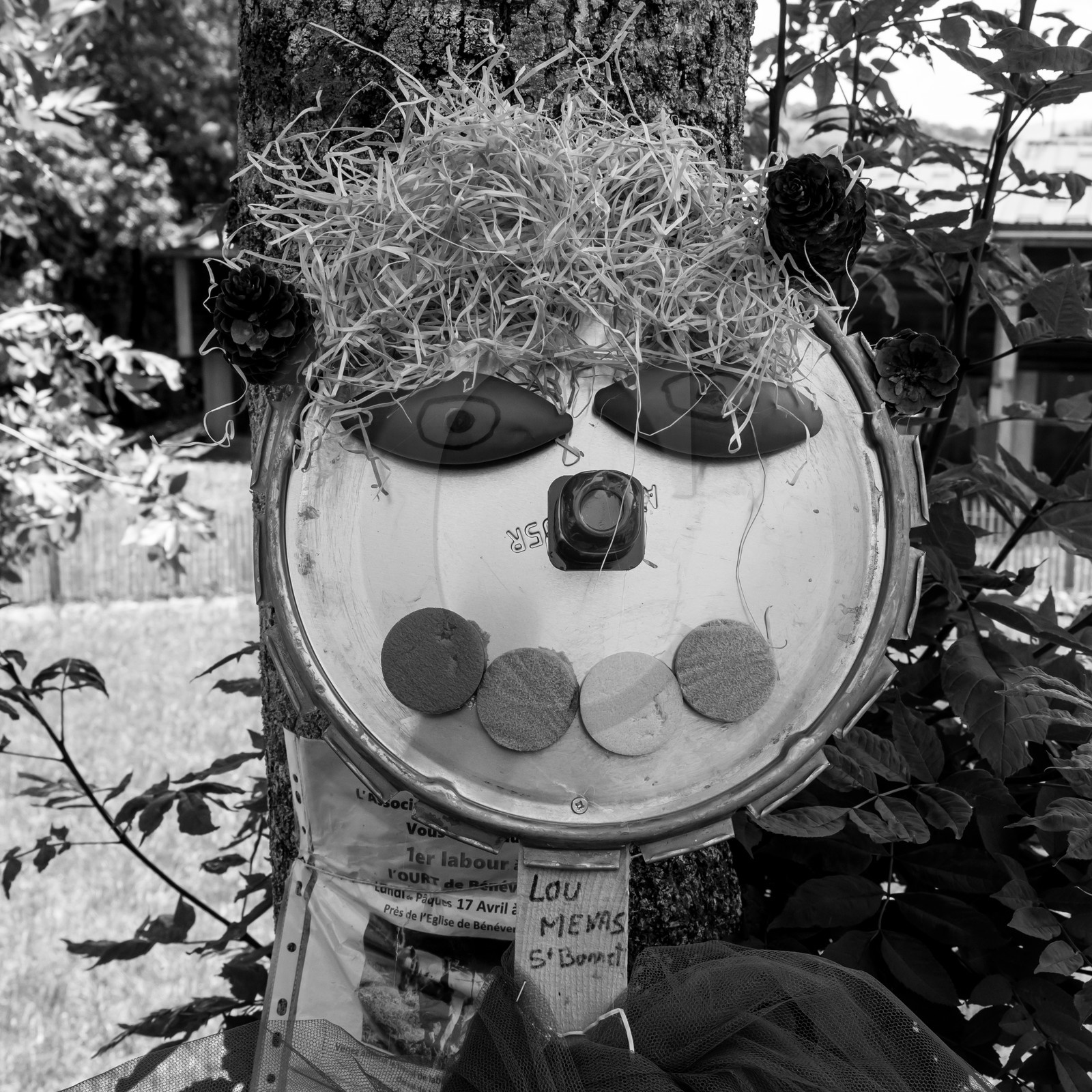 21 juin 2017 - Installation des épouvantails