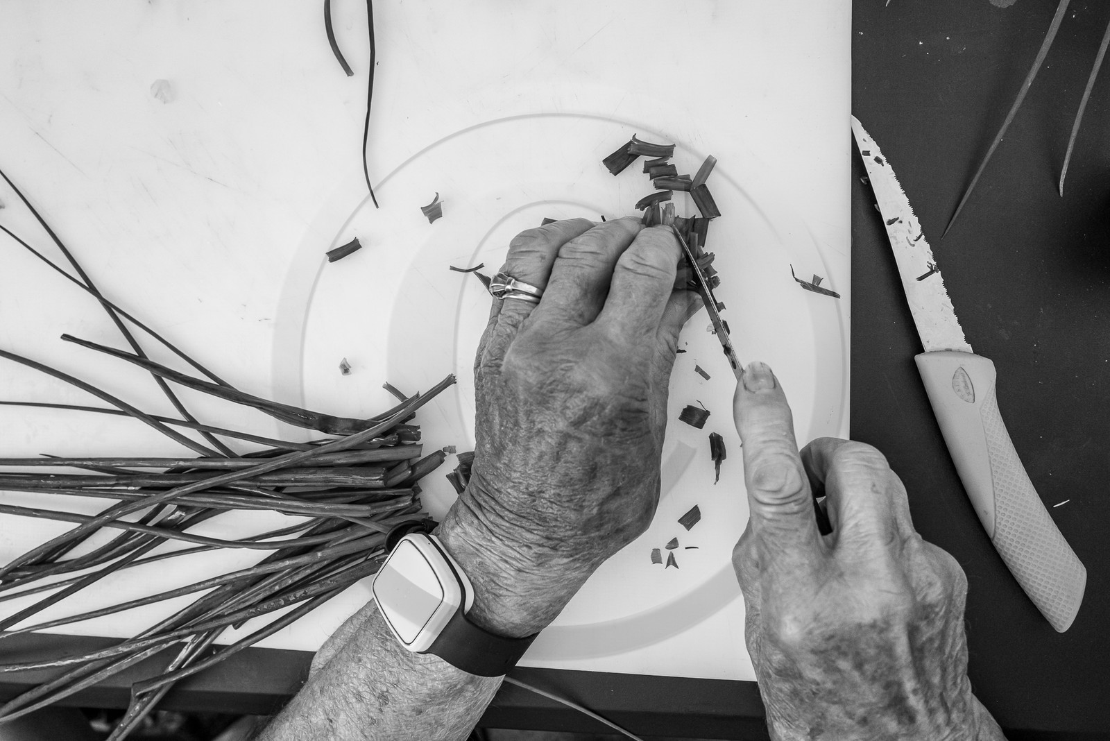 05 juillet 2023 : une cantine et des artistes