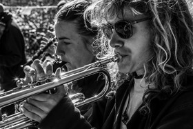 26 octobre 2025 : Les oiseaux de trottoir