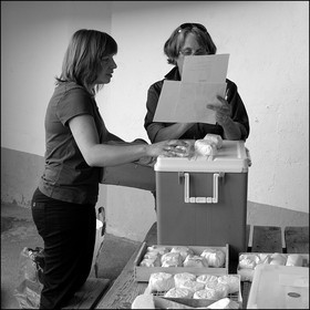 Distribution à l'AMAP du Champsaur