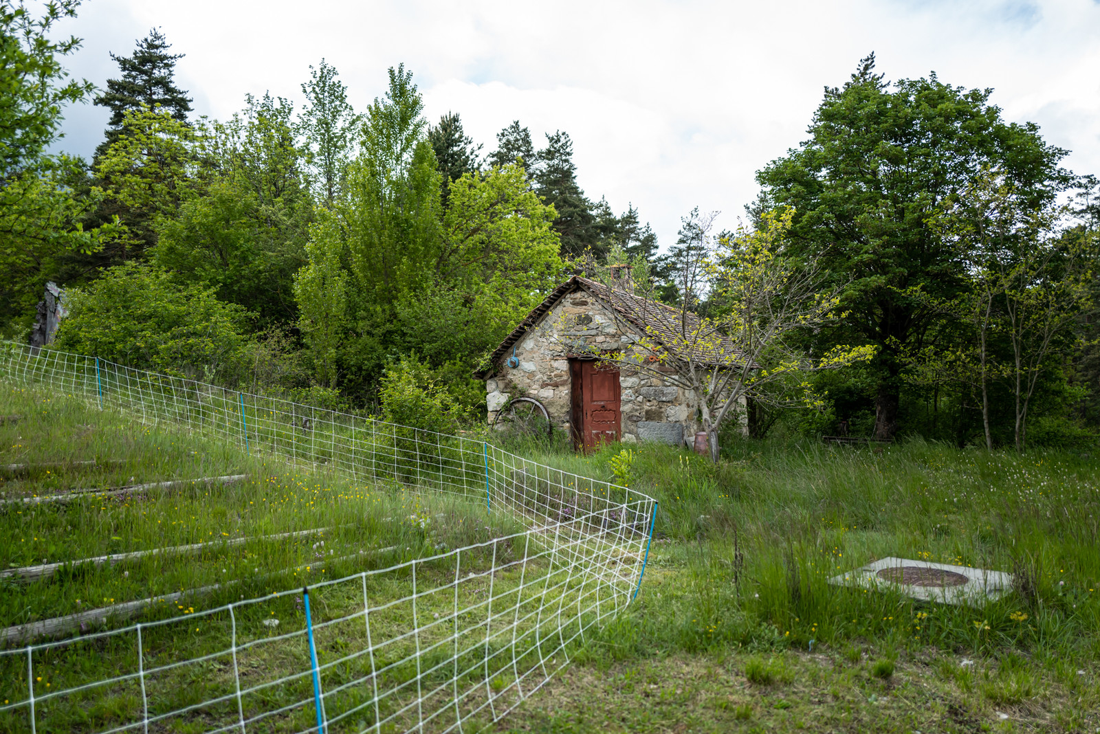 Le Pas du Loup - Le Glaizil -14 mai 2023