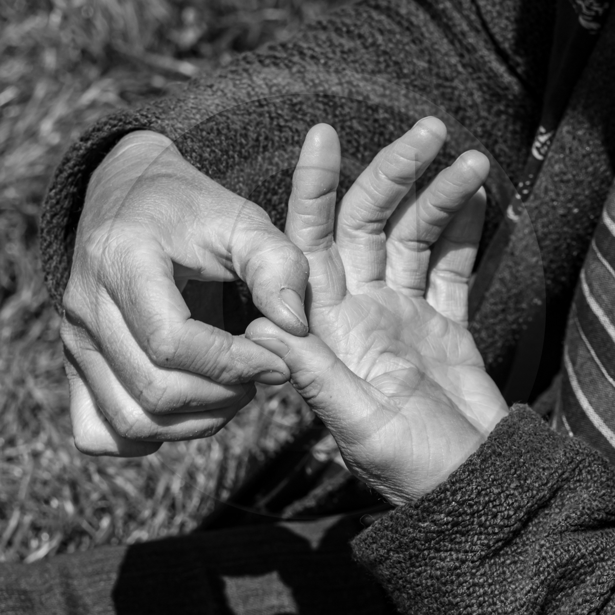 24 avril 2023 : Journée des aidants et des aidés