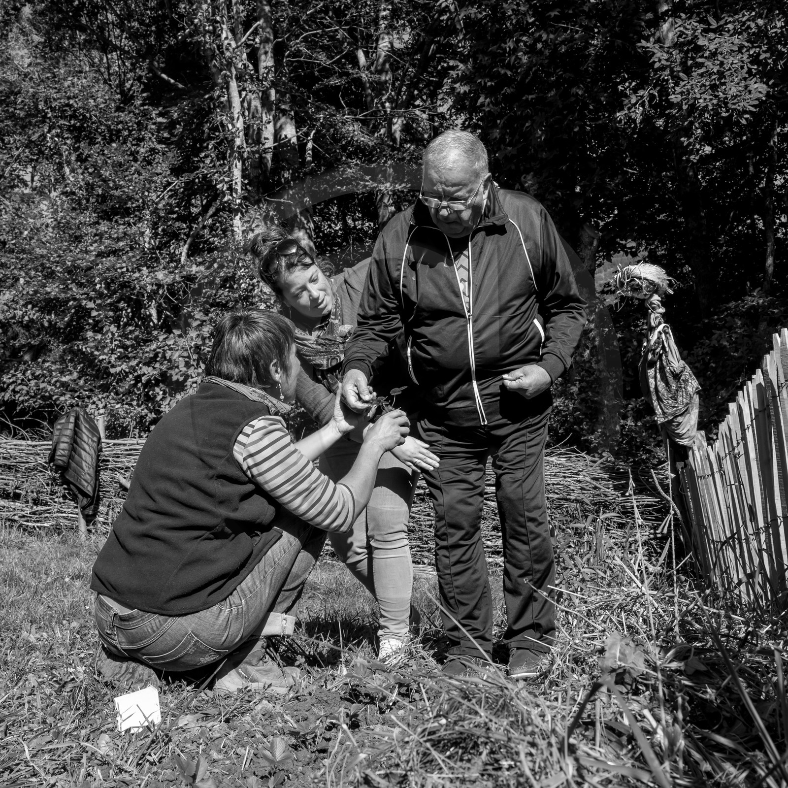 20 septembre 2017 - Jardinage