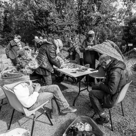 Fabrication de tournesols