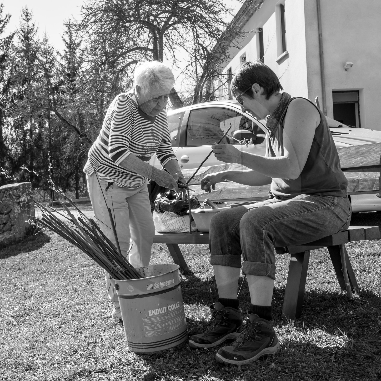 Nettoyage du terrain - Coupe du bois - 29 03 17