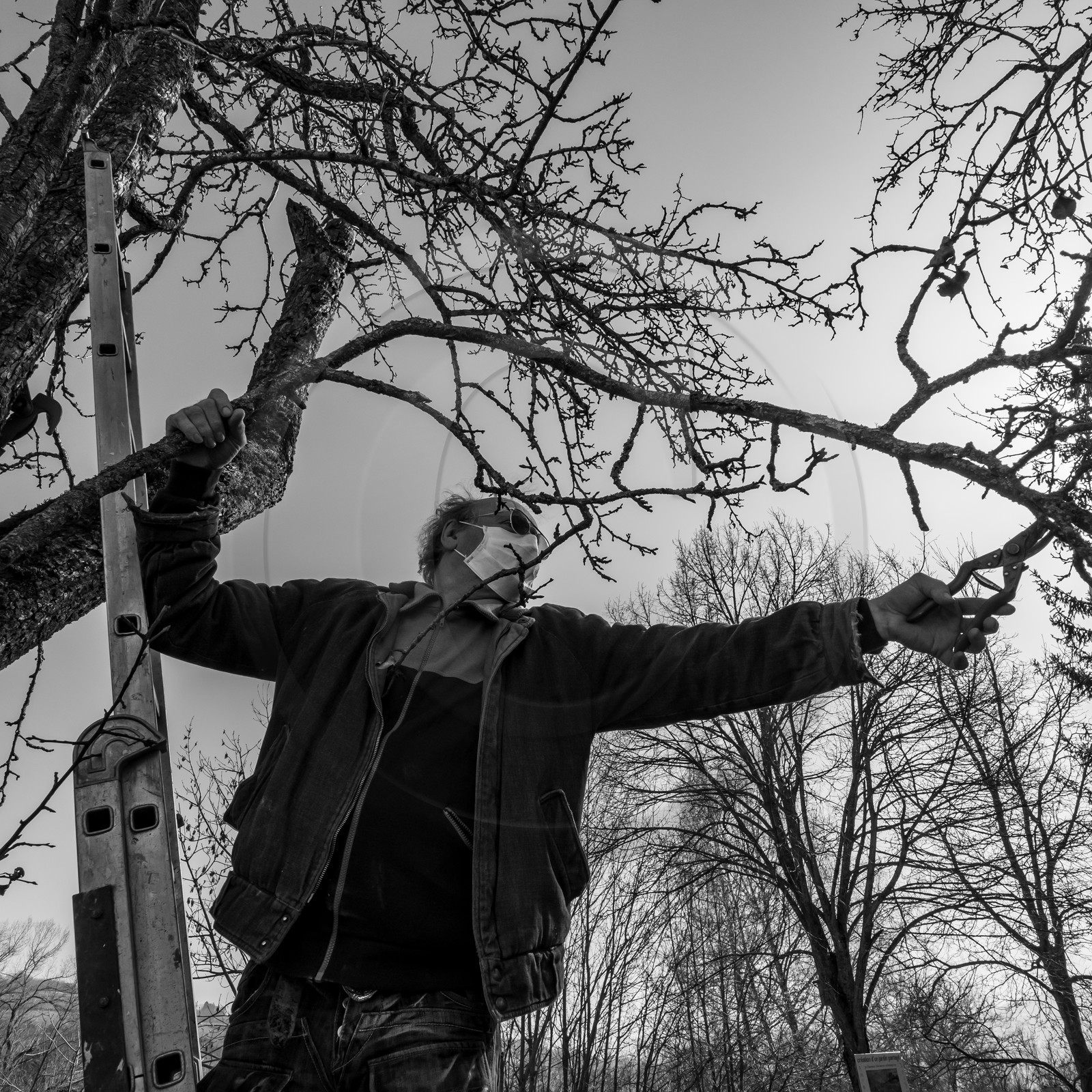 24 février 2021 : on taille, on prépare le jardin...