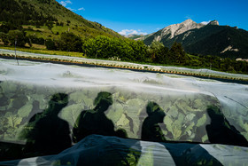 Légumontagne : maraichage biologique à Ancelle
