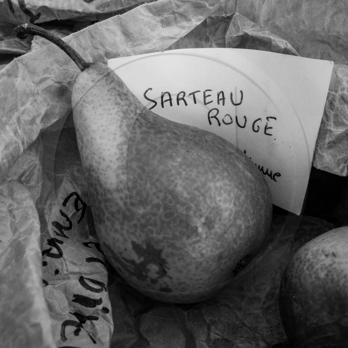 05 novembre 2022 : des pommes et des soupes