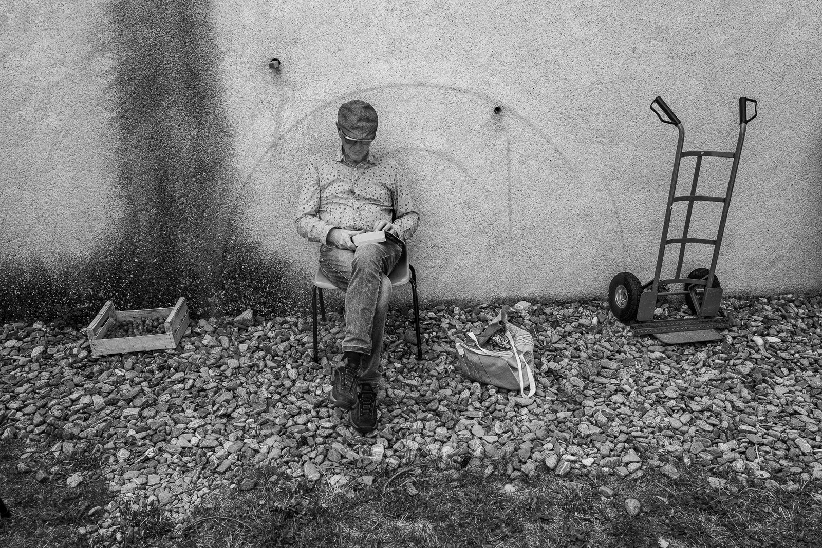 06 septembre 2023 : laine, couture et semis 06 septembre 2023 : laine, couture et semis