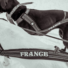 La Valgaude Traineau 2015