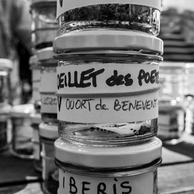 16 août 2021 : Journée des aidants