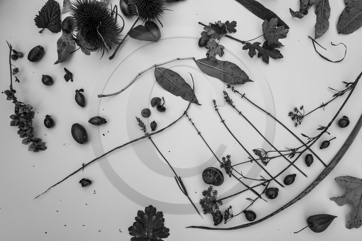 12 octobre 2022 : Land Art à l'Ouort