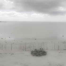 Camargue couleur pastel