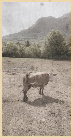 Le kilomètre dérogatoire