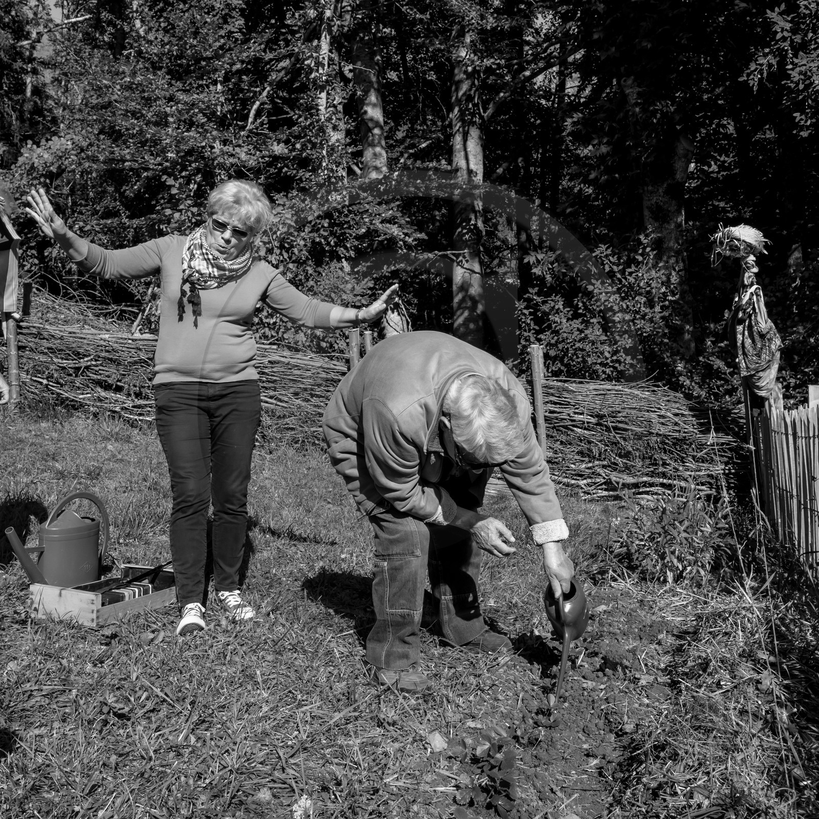 20 septembre 2017 - Jardinage