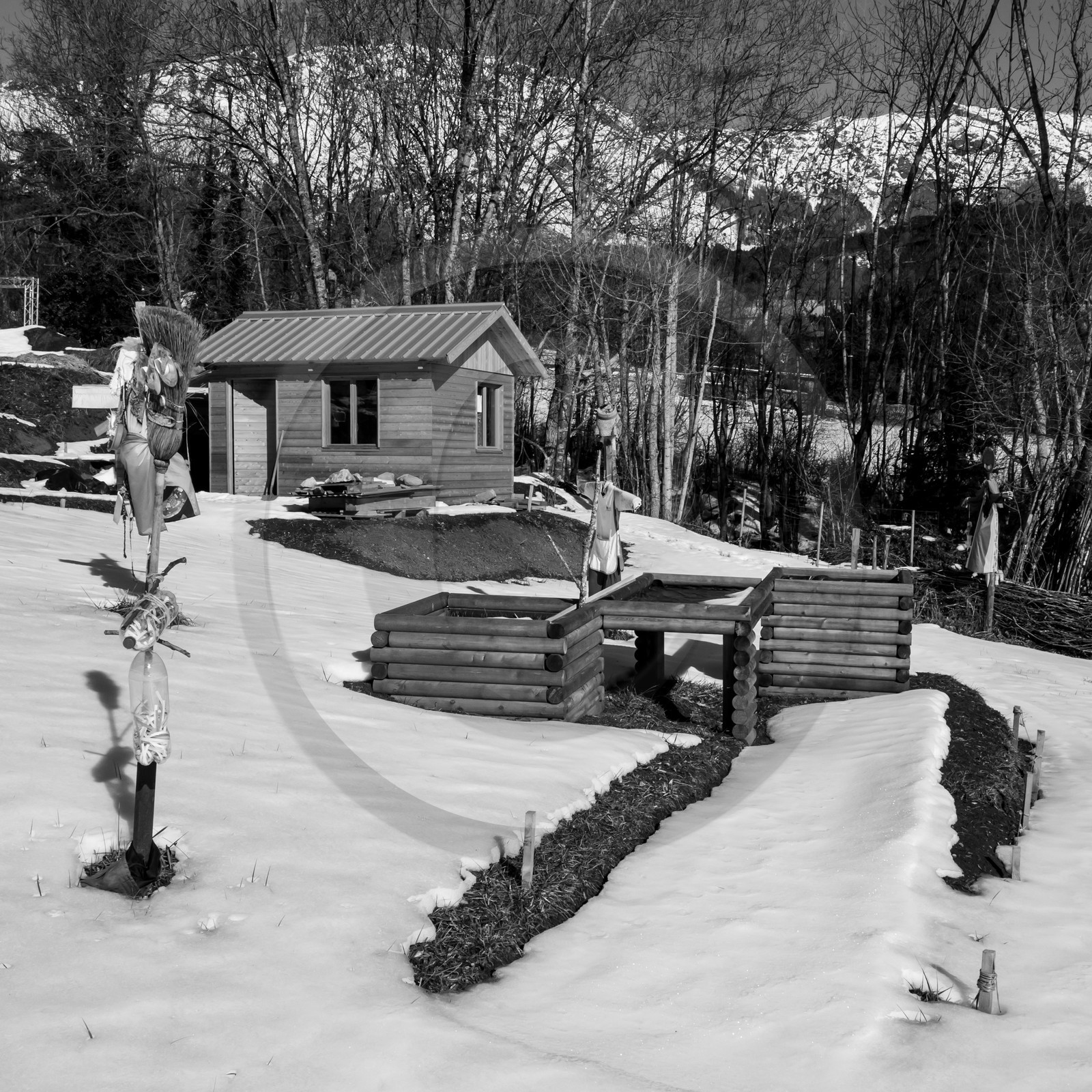 06 février 2019 : la pose des nichoirs