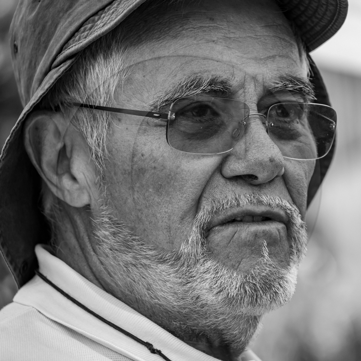 29 juin 2022 : Découverte des plantes sauvages