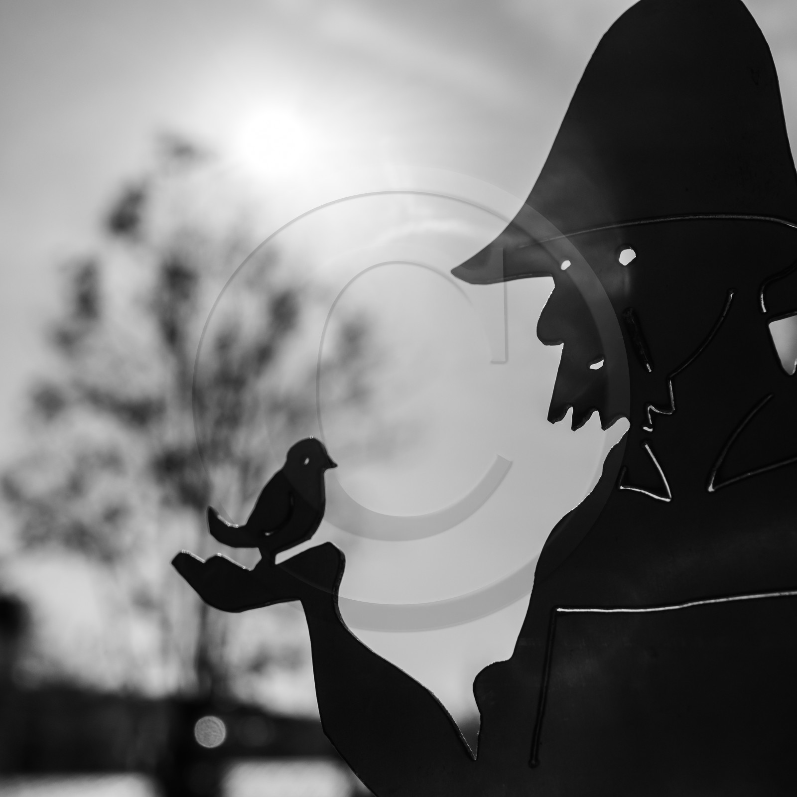 27 octobre 2019 : pommes, soupes et gâteaux