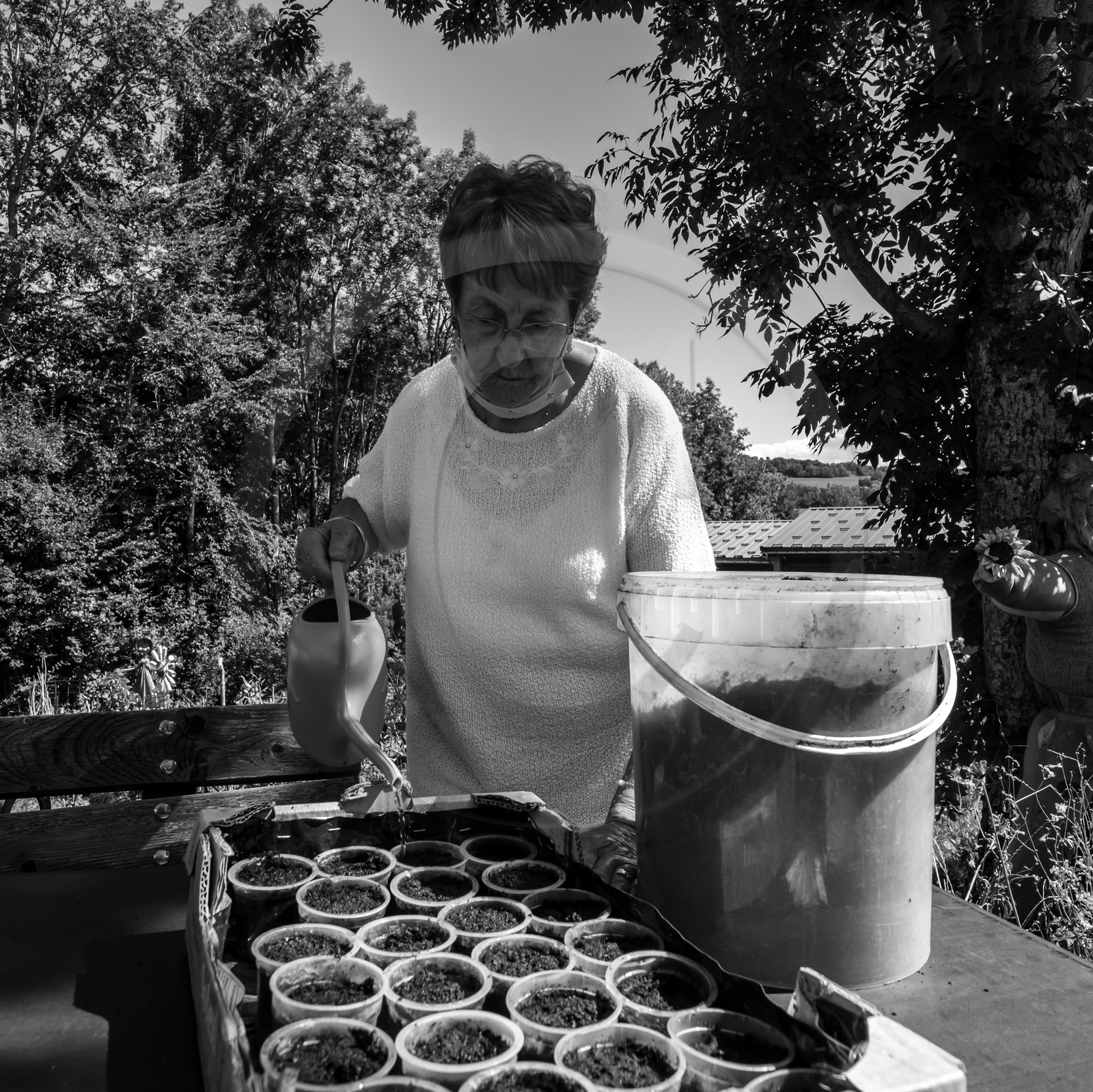 Activités au jardin