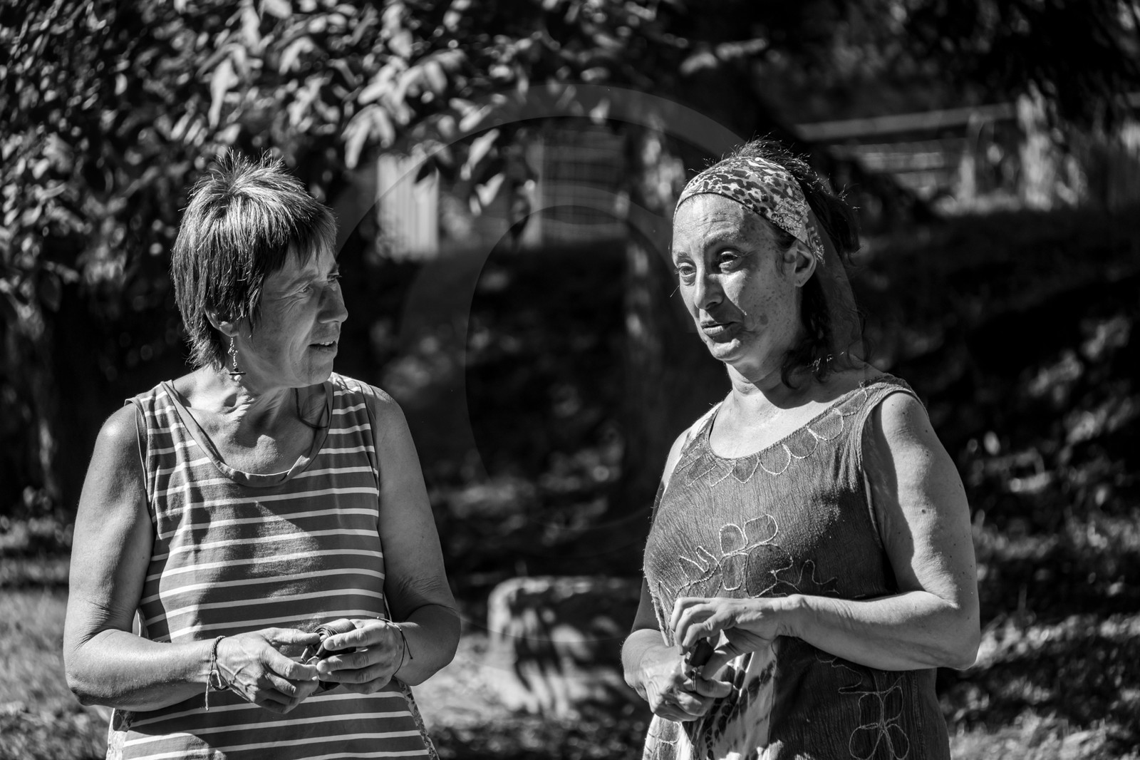 21 aout 2024 : Performance théâtrale d'Annette Chapon