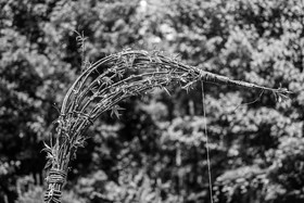 28 mai 2025 : Jeux, Osier, Photos, Jardinage...