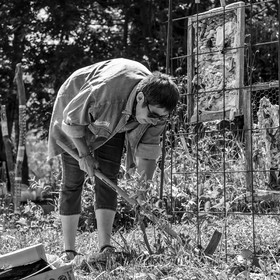 28 mai 2025 : Jeux, Osier, Photos, Jardinage...