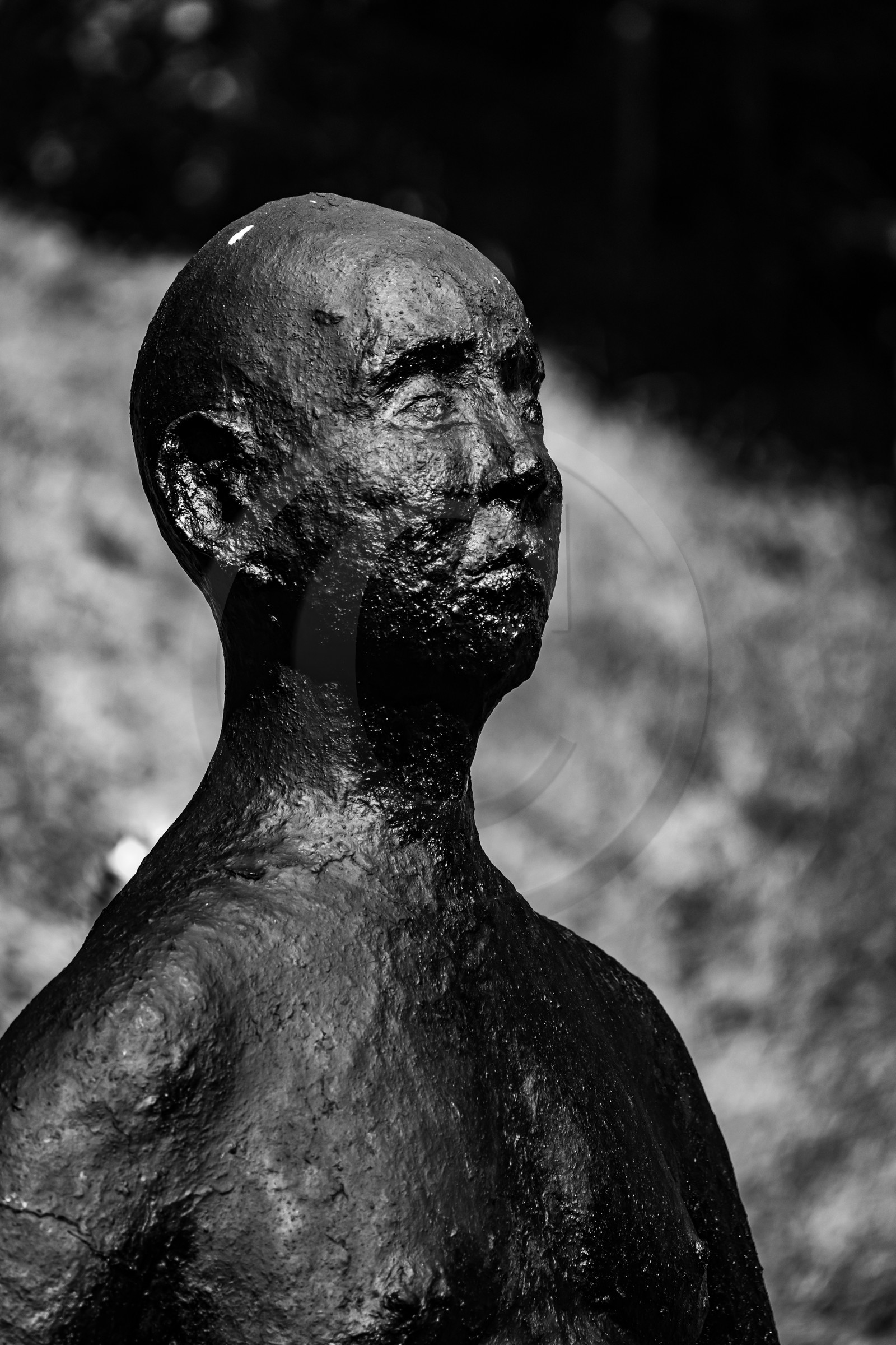 Exposition La forêt d'hommes, une création de Barbara Fougnon, artiste plasticienne