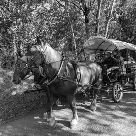 25 septembre 2019 : Promenade en calèche