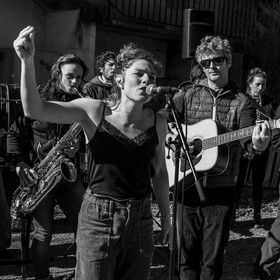 26 octobre 2025 : Les oiseaux de trottoir