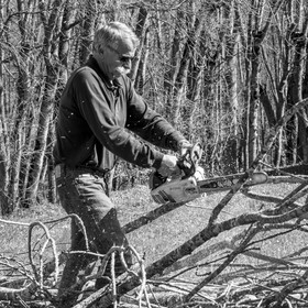 Nettoyage du terrain - Coupe du bois - 29 03 17