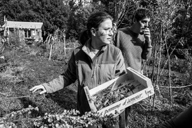 12 octobre 2022 : Land Art à l'Ouort