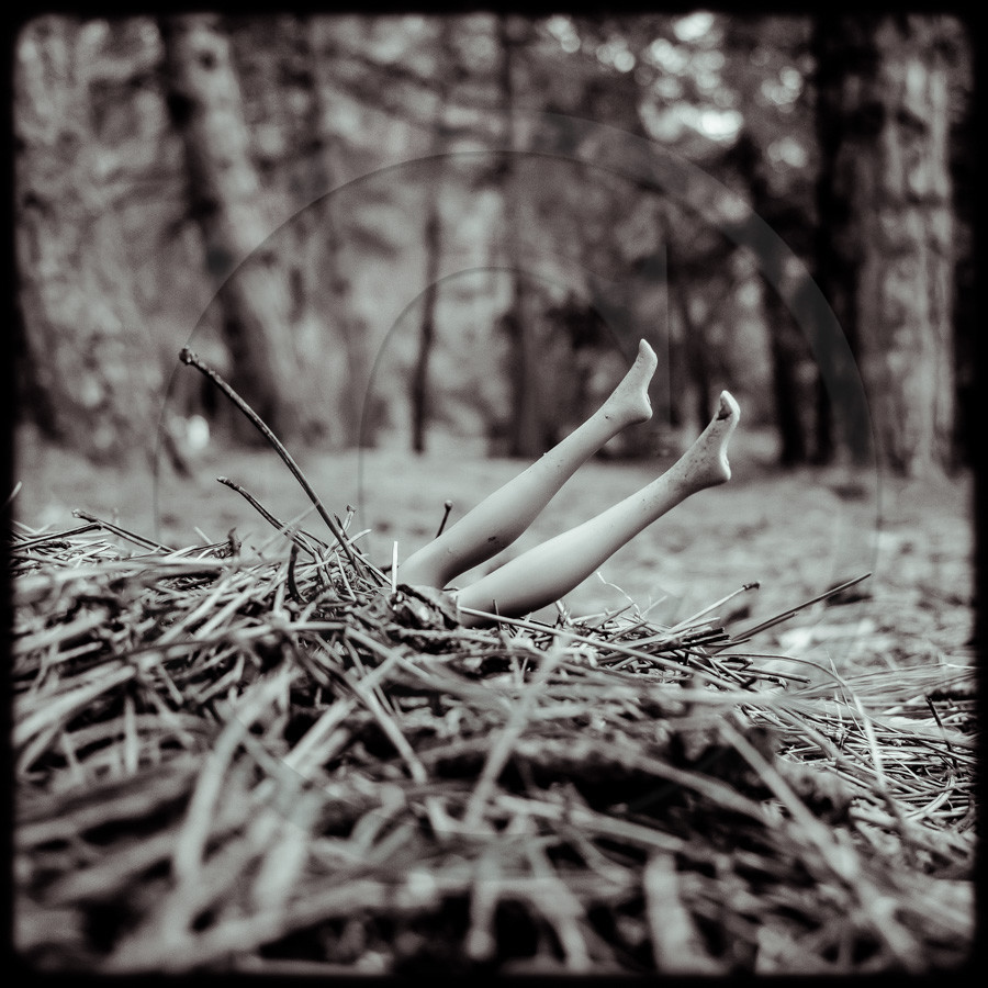 Promenade en forêt Promenade en forêt