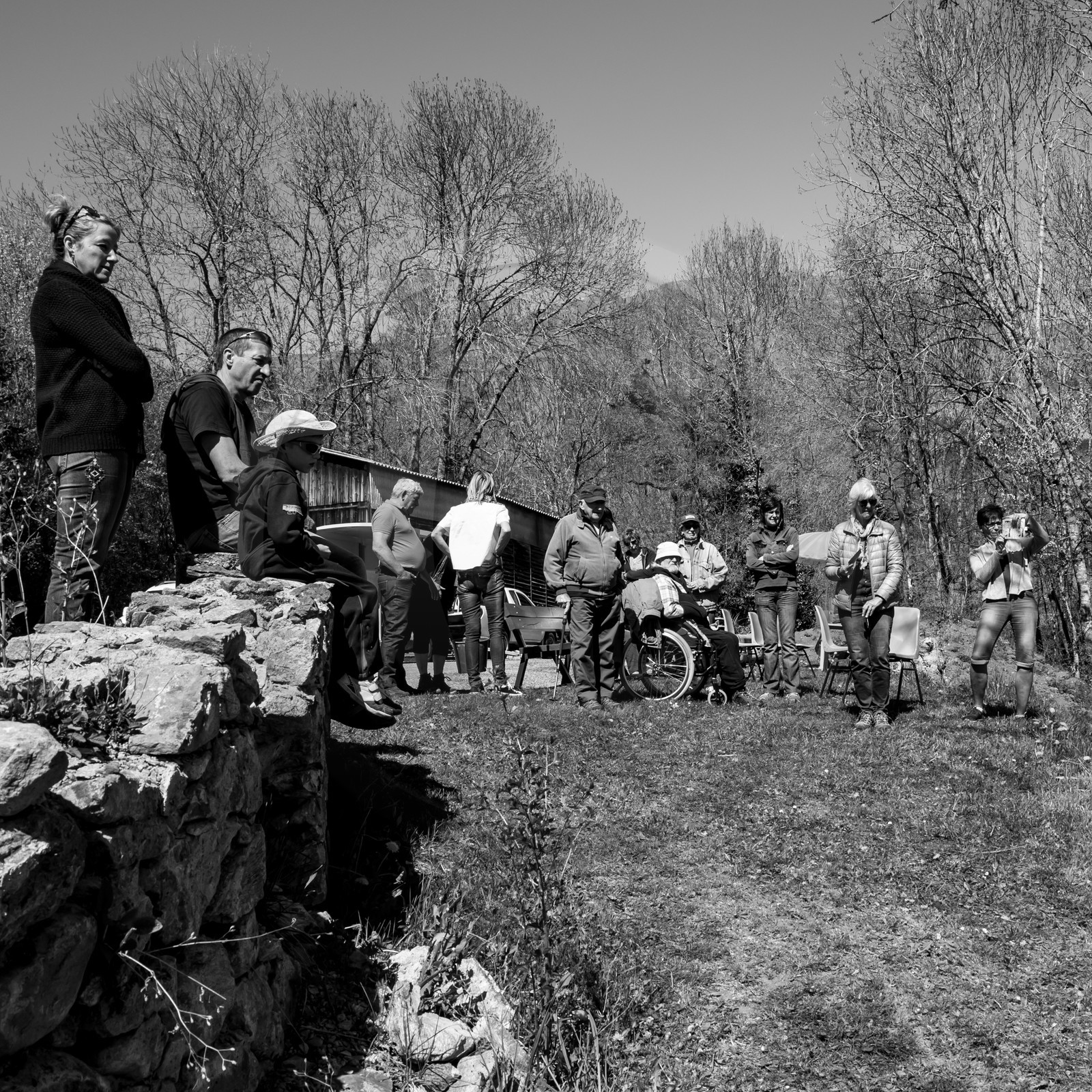 Débardage avec un cheval - 17 04 17