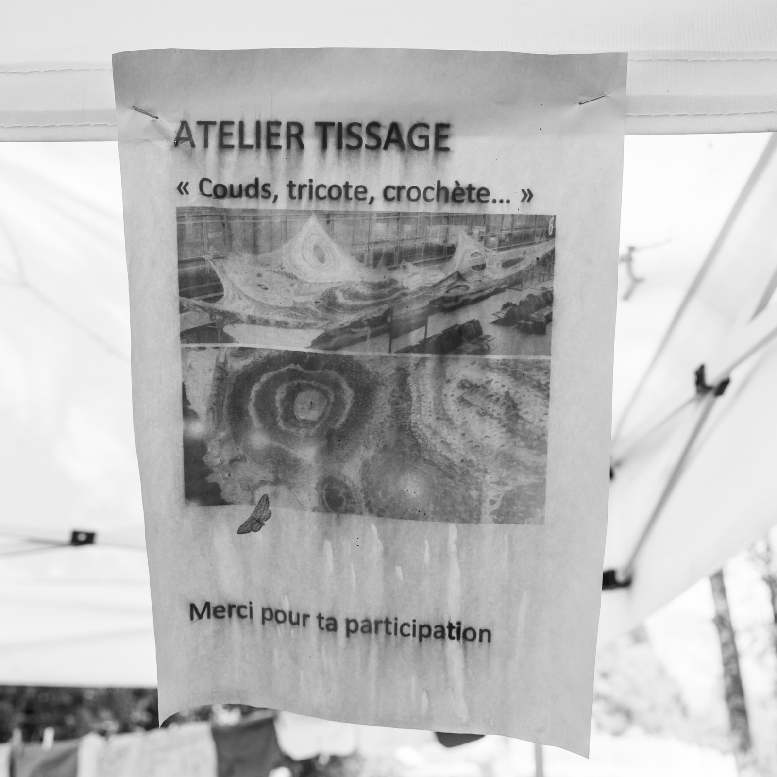 14 août 2025 : L'Echo des Mots