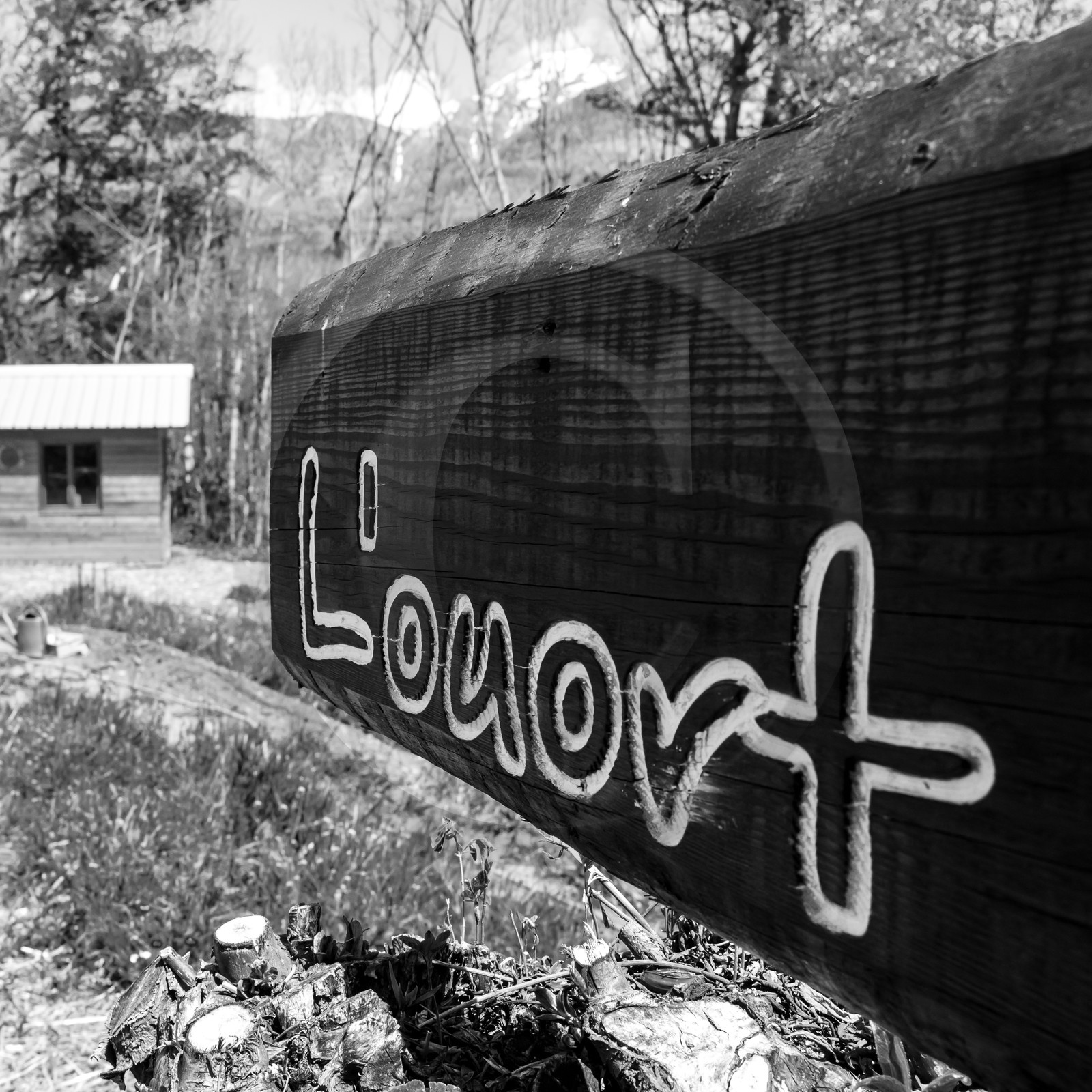 15 mai 2019 : création de fleurs en plastique 15 mai 2019 : création de fleurs en plastique