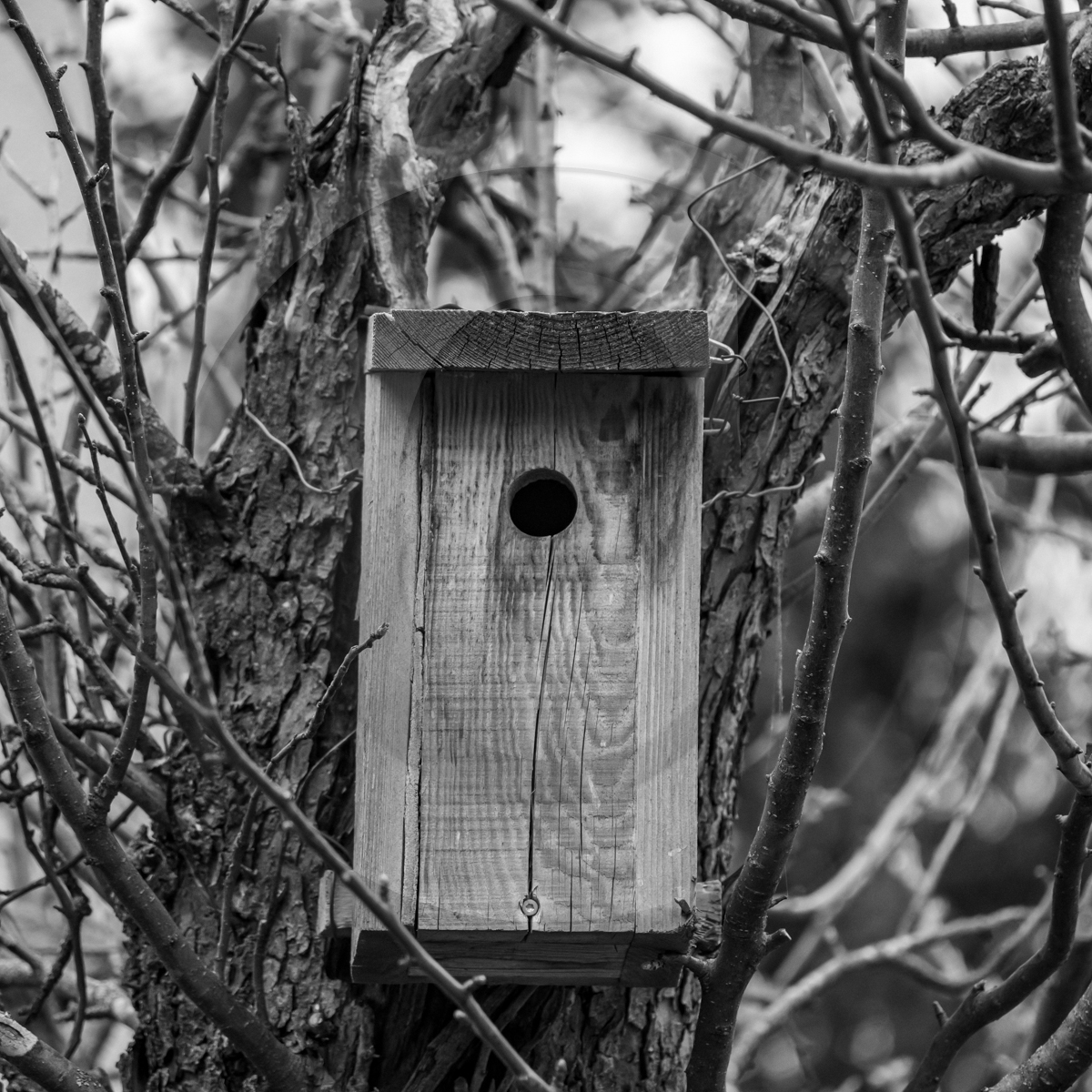 20 avril 2022 : des contes, des pommes de terre et un petit café