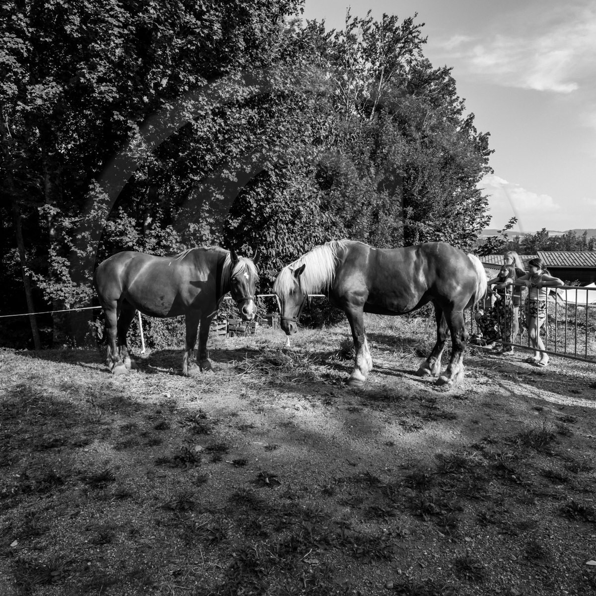 Jeanne Bleuse - Festival de Chaillol
