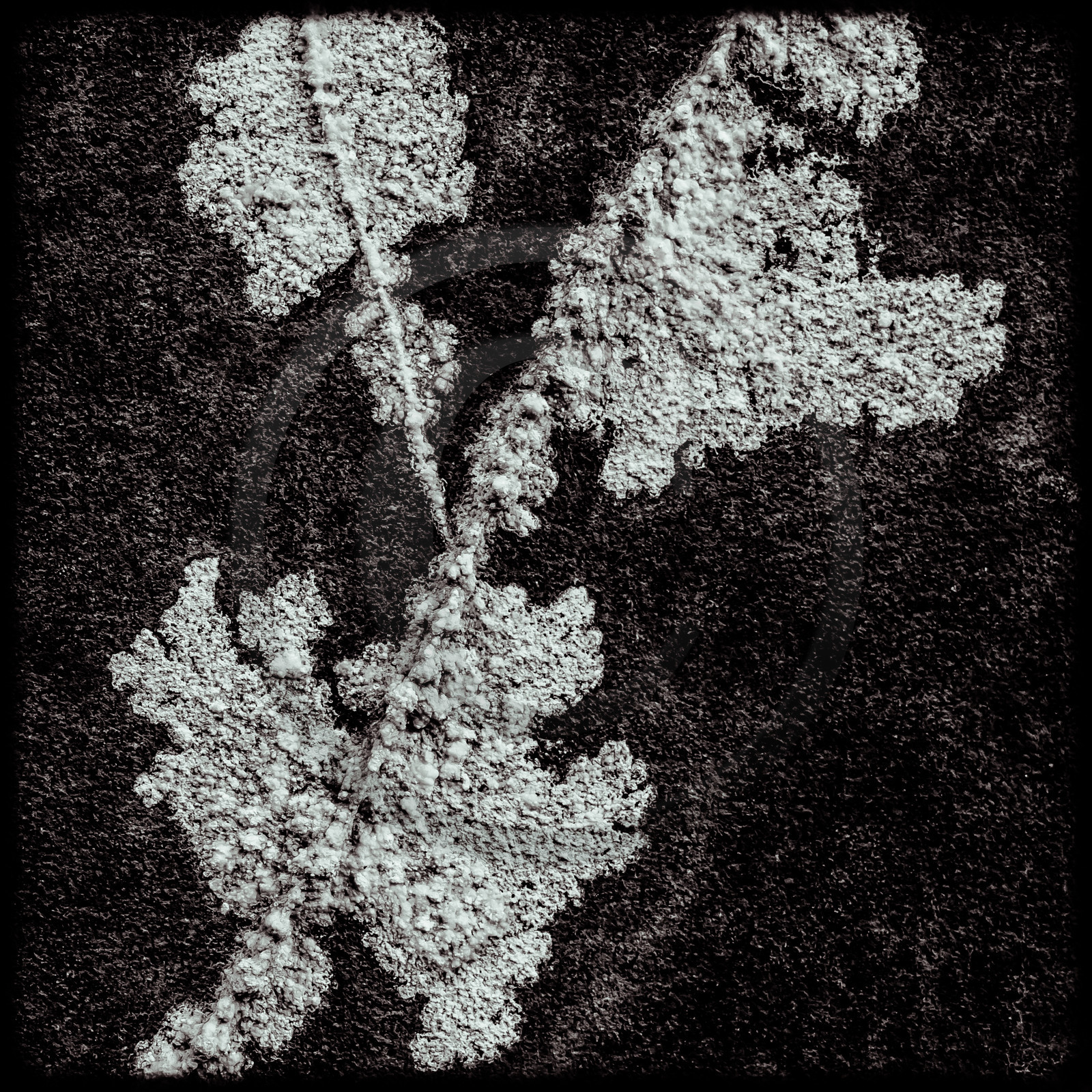 Centrale hydroélectrique du Beynon