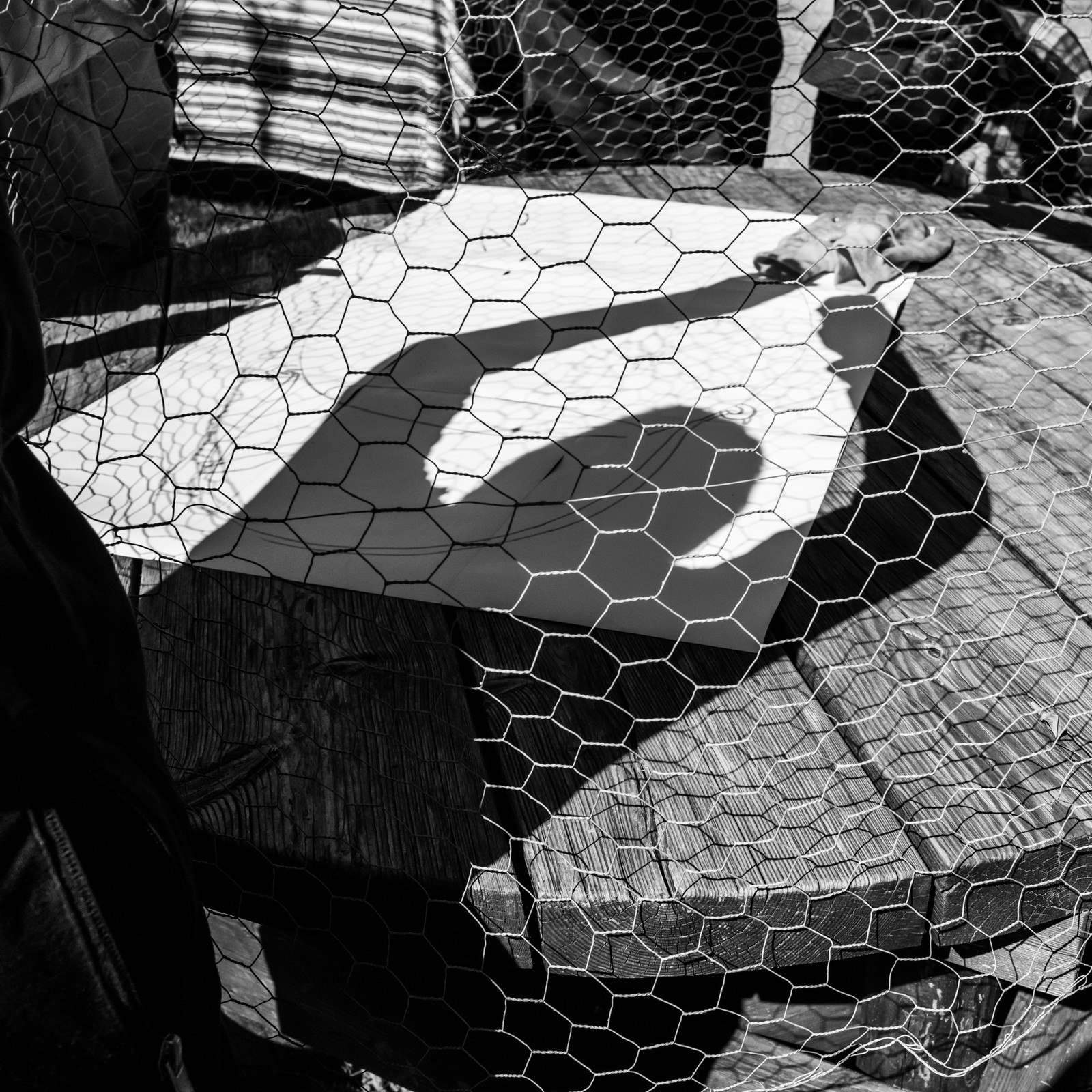 25 avril 2025 : Journée des Aidants