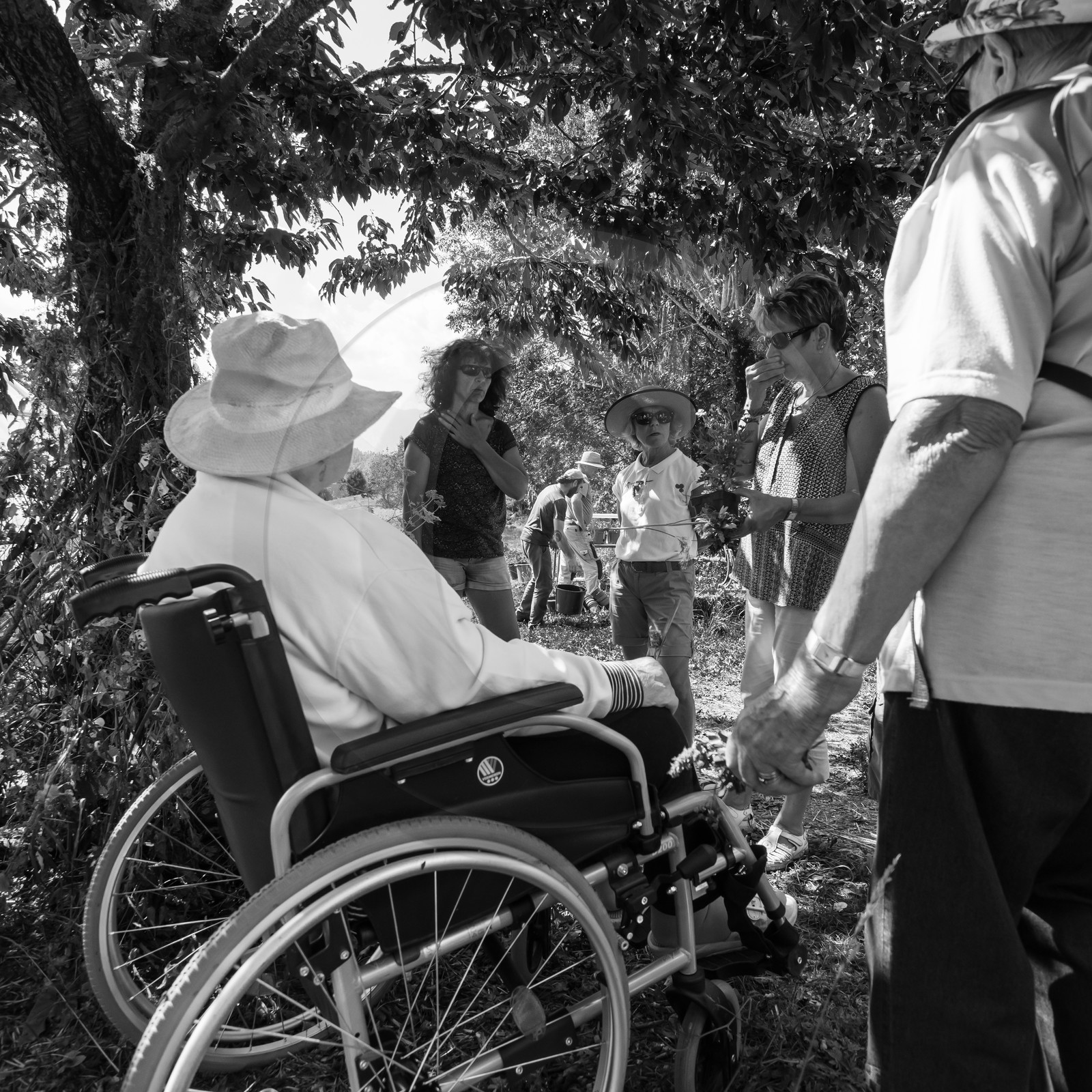 04 septembre 2019 : Visite au jardin des Hautes Terres