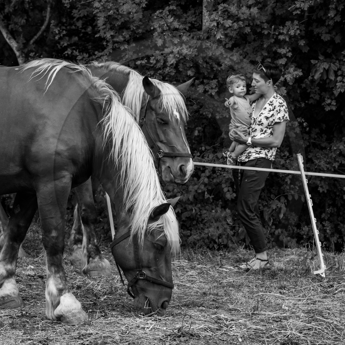 Jeanne Bleuse - Festival de Chaillol