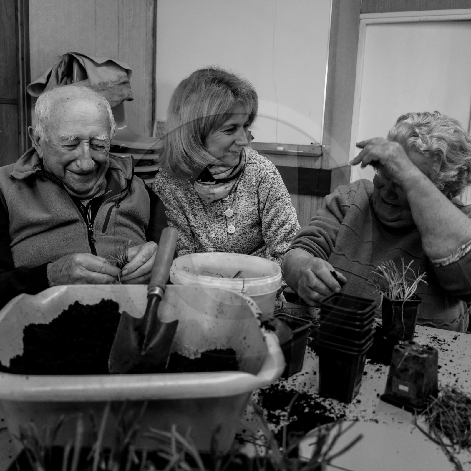 Atelier repiquage de plants de ciboulettes - 05 04 2017