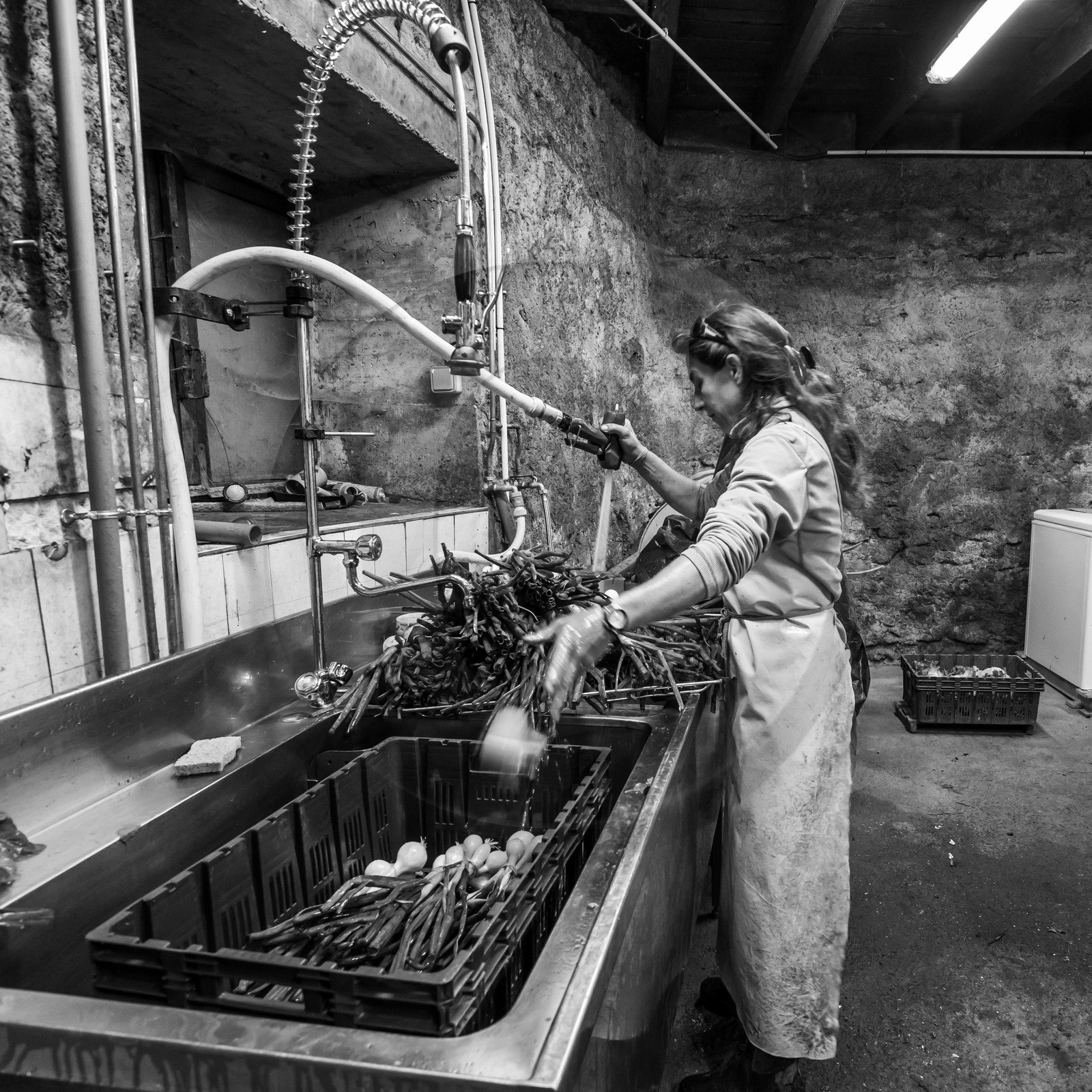 Maraichage biologique dans le Champsaur