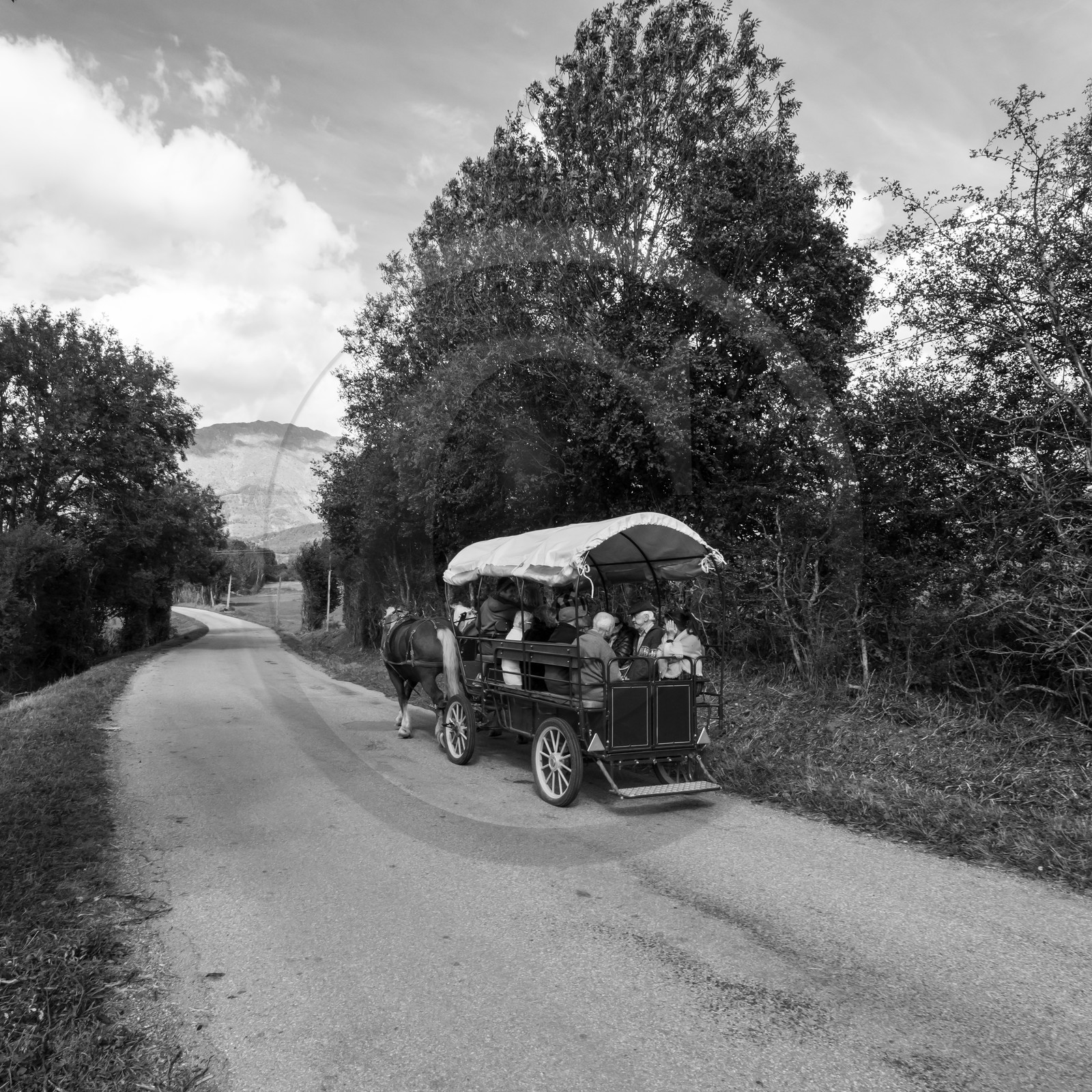 25 septembre 2019 : Promenade en calèche