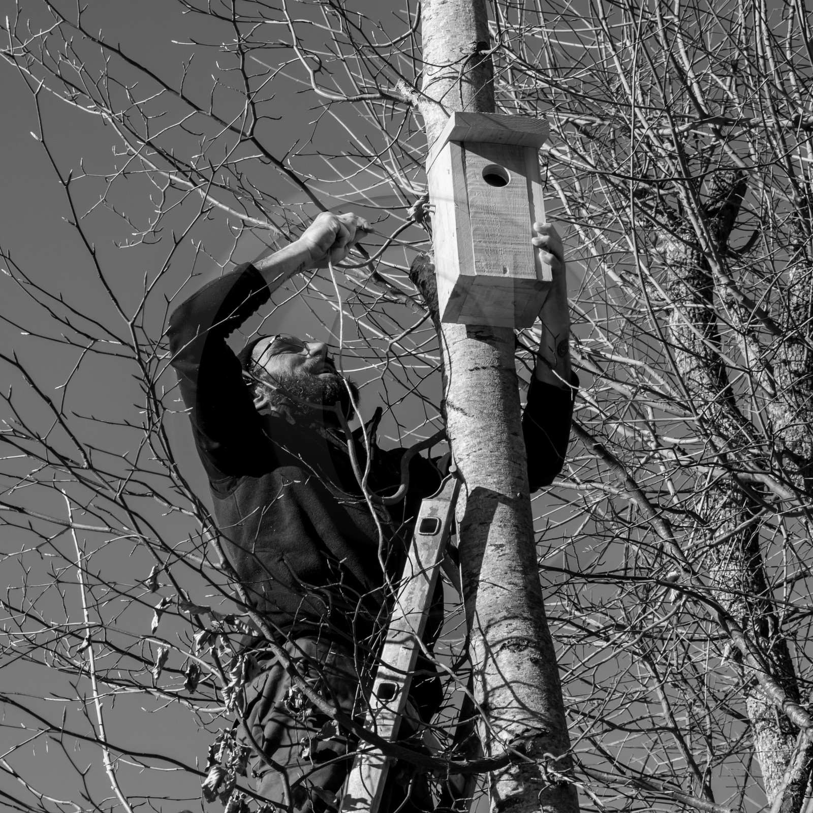 06 février 2019 : la pose des nichoirs