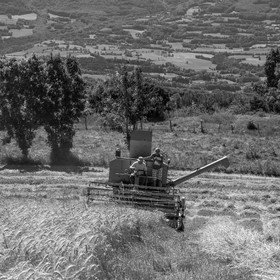 Les moissons dans le Champsaur