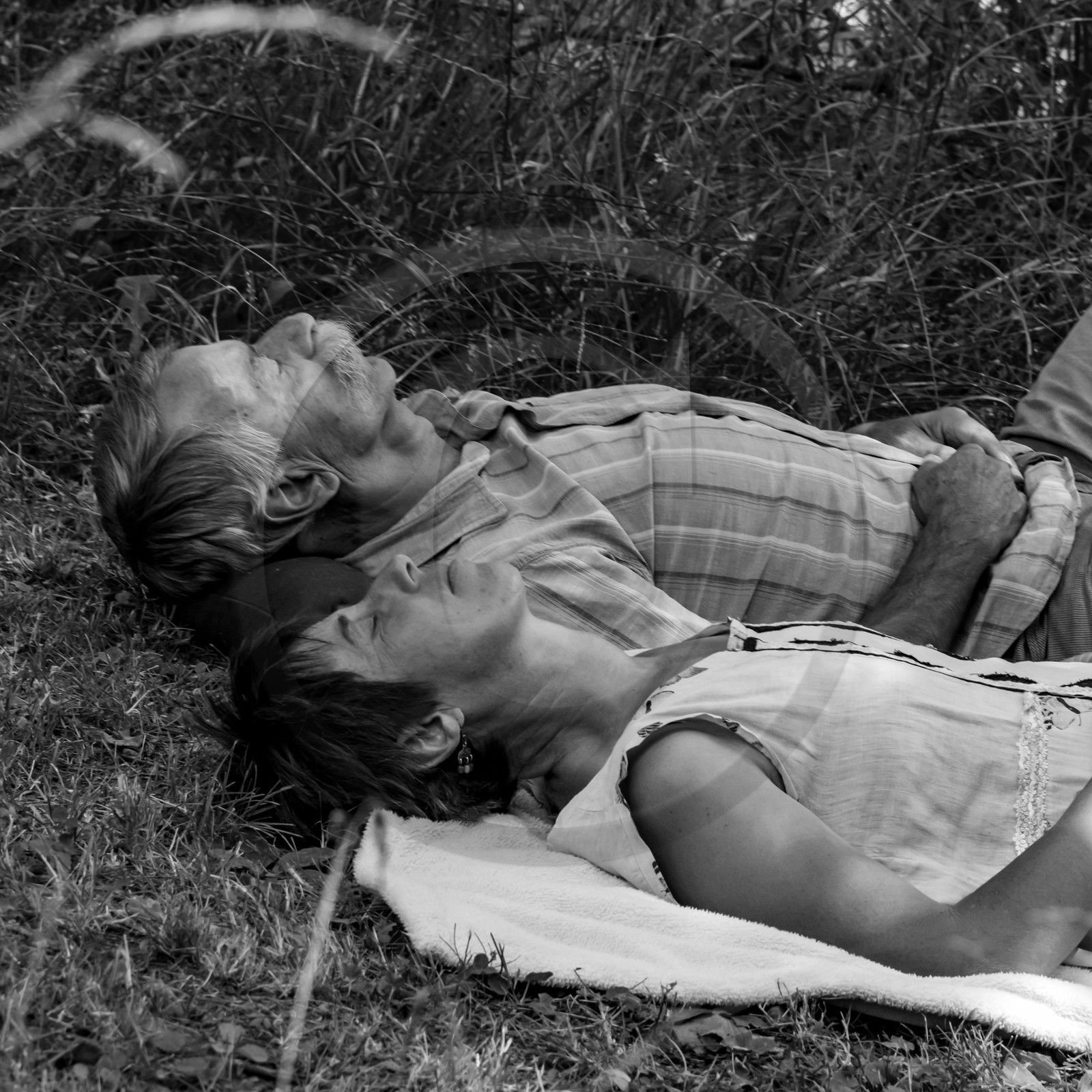 21 juillet 2021 : Sieste musicale avec Matthieu Duval 21 juillet 2021 : Sieste musicale avec Matthieu Duval