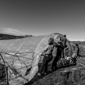 Montage de serres tunnel