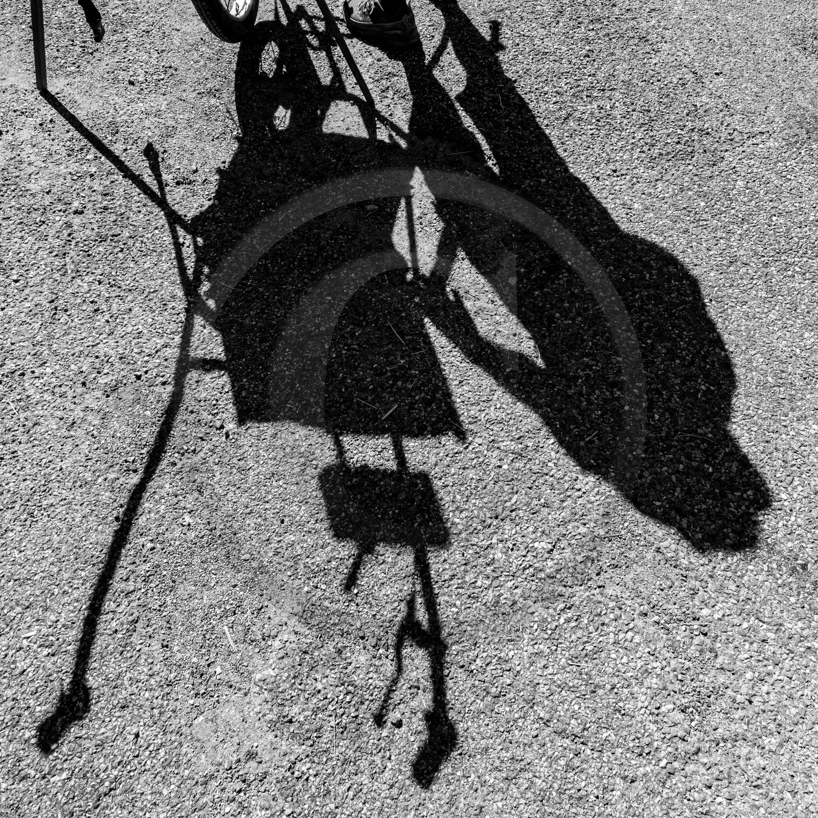 29 septembre 2021 : Joelette et contes