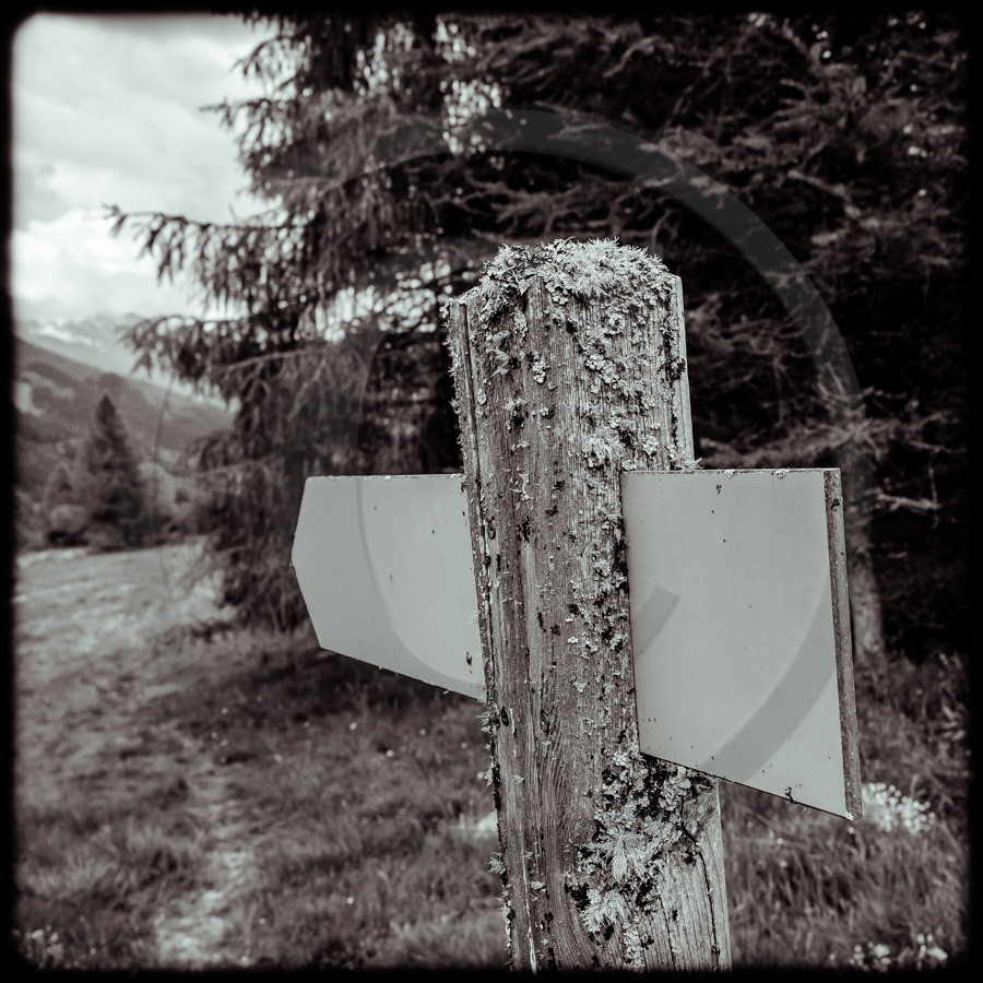 Promenade en forêt Promenade en forêt